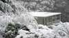 Lyrebird Cottages
