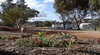 Goomalling Caravan Park