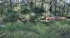 Bridgetown Jarrah Park