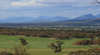 Sukey Hill Lookout