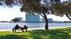 Foreshore Reserve