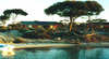 Wave Rock Lakeside Resort and Caravan Park