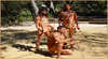 Wardan Aboriginal Cultural Centre