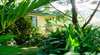 Daintree Valley Haven