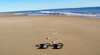Straddie Kingfisher Tours