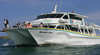 Wildlife Coast Cruises