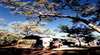Adels Grove Camping Ground