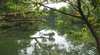 Douglas River Esplanade Conservation Area