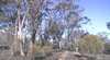 Williams Nature Reserve