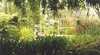 Girraween Gardens and Tearooms