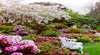 Annsleigh Gardens and Cafe