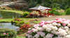Emu Valley Rhododendron Gardens