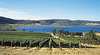 Tasmanian Wine Centre Tours