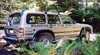 Wilderness To West Coast Tours