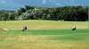 Flinders Island Golf Course