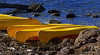 Lake St Clair Wilderness Resort (Hire)