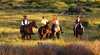 Huon Valley Horsetrekking