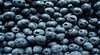 Tru-Blu Berries