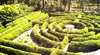 Glengarry Bush Maze and Tearooms - The