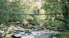 Arve Forest Drive