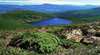 Hartz Mountains National Park