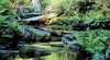 Picton River/Tahune
