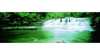 Liffey Falls/Liffey Forest Reserve