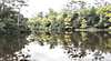 Arthur River