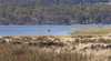Penstock Lagoon