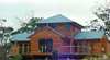 Tree House - The