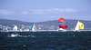 Cruise Company - The