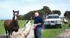 King Island Coach Tours