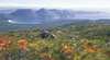 Freycinet Experience Walk