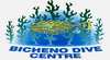 Bicheno Dive Centre (Tour)