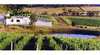 Domaine A / Stoney Vineyard
