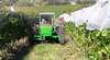 Holm Oak Vineyard