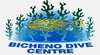 Bicheno Dive Centre (Hire)