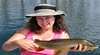 Trout Territory - Guided Trout Fly Fishing Tours