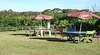 Cerise-Brook Fruit Orchard and Chip n Putt Family Golf Course