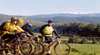 Tasmanian Trail