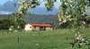 Cherry Top Accommodation - Cherry Top