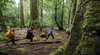 Tarkine Trails