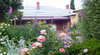 Donalea Bed & Breakfast Tasmania