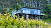 Rosevears Vineyard Retreat