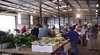 Burnie Farmers