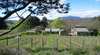 Wilmot Hills Vineyard