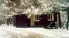 Waldheim Cabins