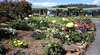 Wintersun Gardens Motel