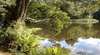 Weldborough Camping Ground