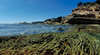 Eagle Rock Marine Sanctuary